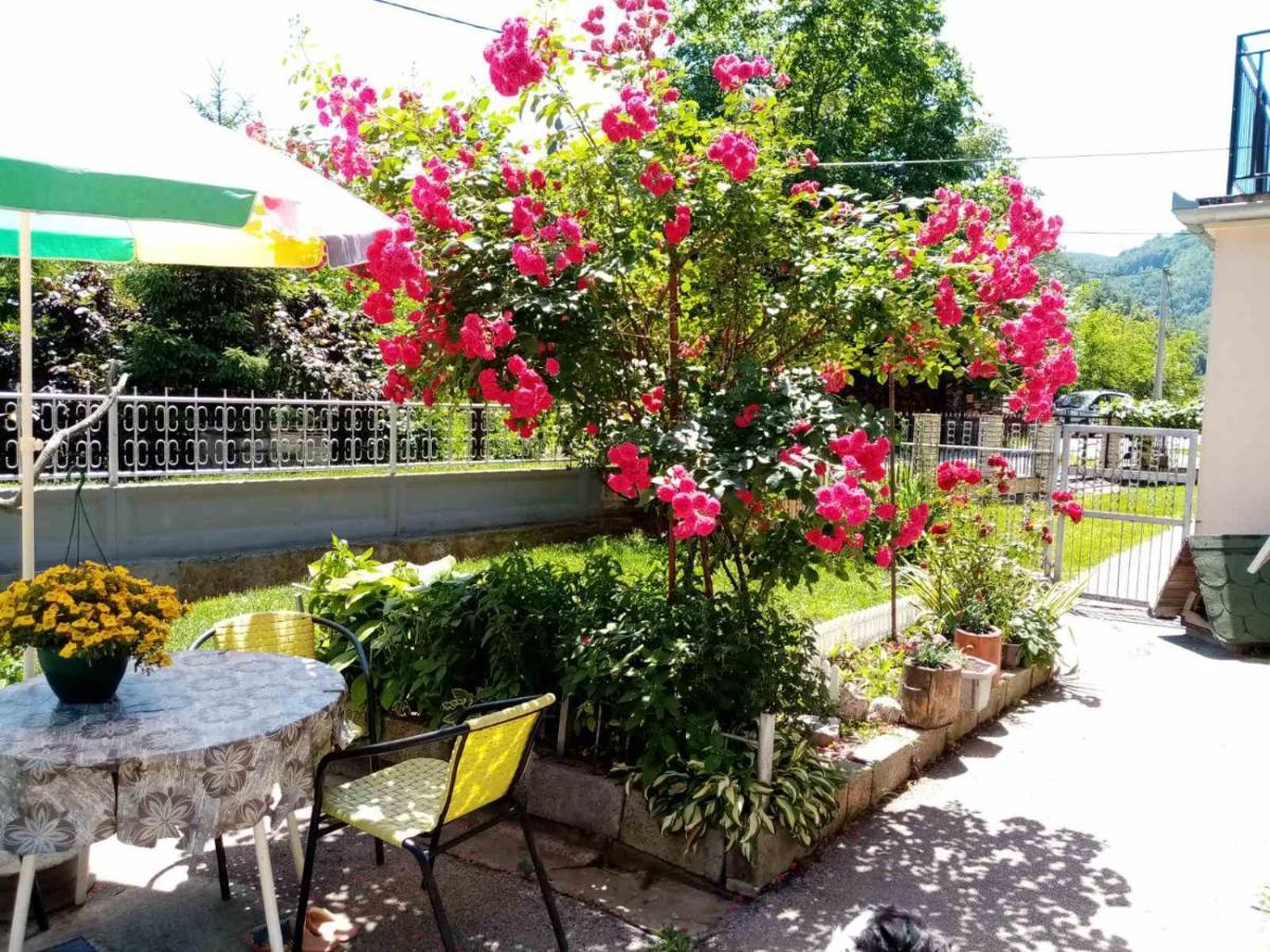 Apartman Vesna Ovcar Banja Exterior photo