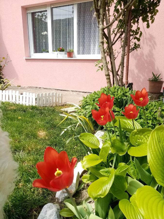 Apartman Vesna Ovcar Banja Exterior photo